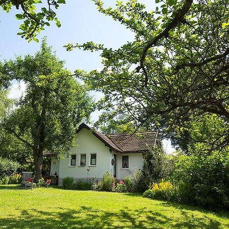 فالدزاسن Ferienhaus Am Alten Bahndamm المظهر الخارجي الصورة